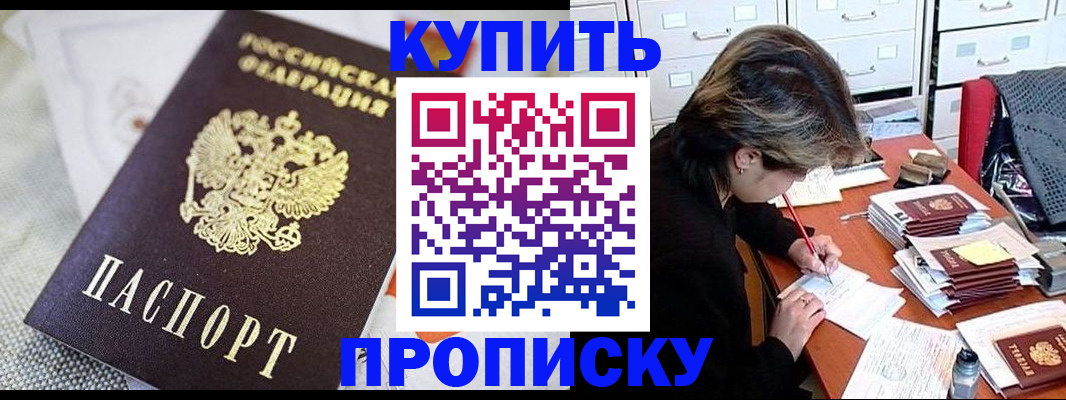 прописка законно в Камышлове